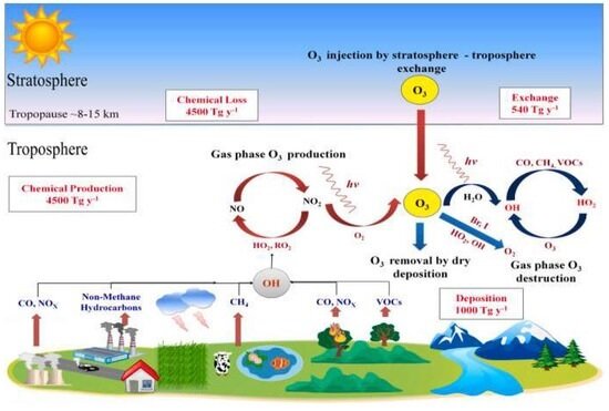One -fifth year under UV razor; Ozone protects us but not always