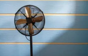 The guide to buying a fan; Types, Important Purchase and Best Sale Tips