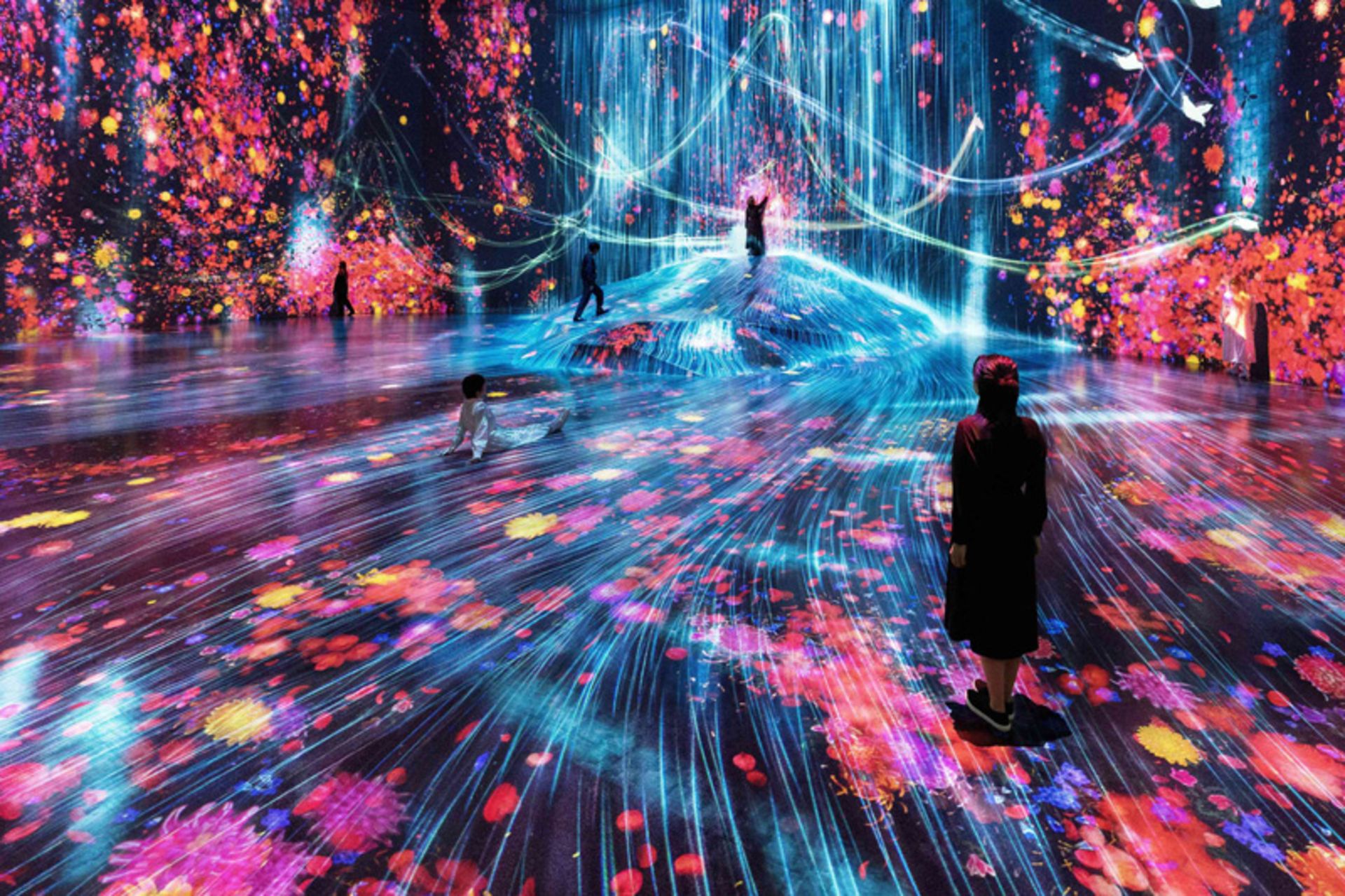 Color pictures at the Tokyo Digital Art Museum