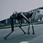 Black Panther Robotics Dog