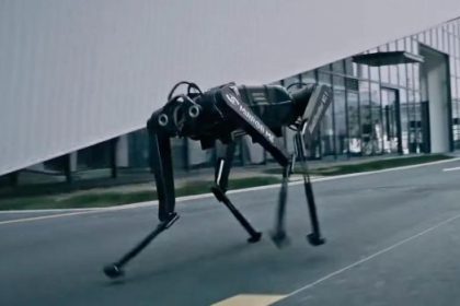 Black Panther Robotics Dog