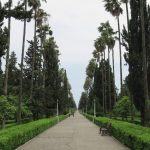 Ramsar Moallem Boulevard and trees