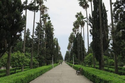 Ramsar Moallem Boulevard and trees