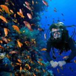 What is the diving in Qeshm? Underwater experience in Negin Beach