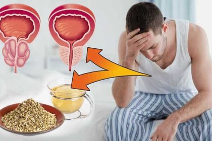 An image of the prostate and its location in the men's body.