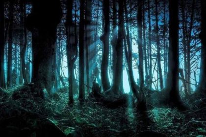 Where is Mashhad Scream Forest? The mysterious secrets and stories of the forest