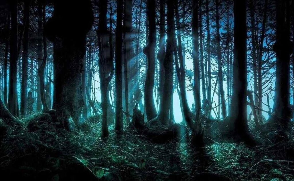 Where is Mashhad Scream Forest? The mysterious secrets and stories of the forest