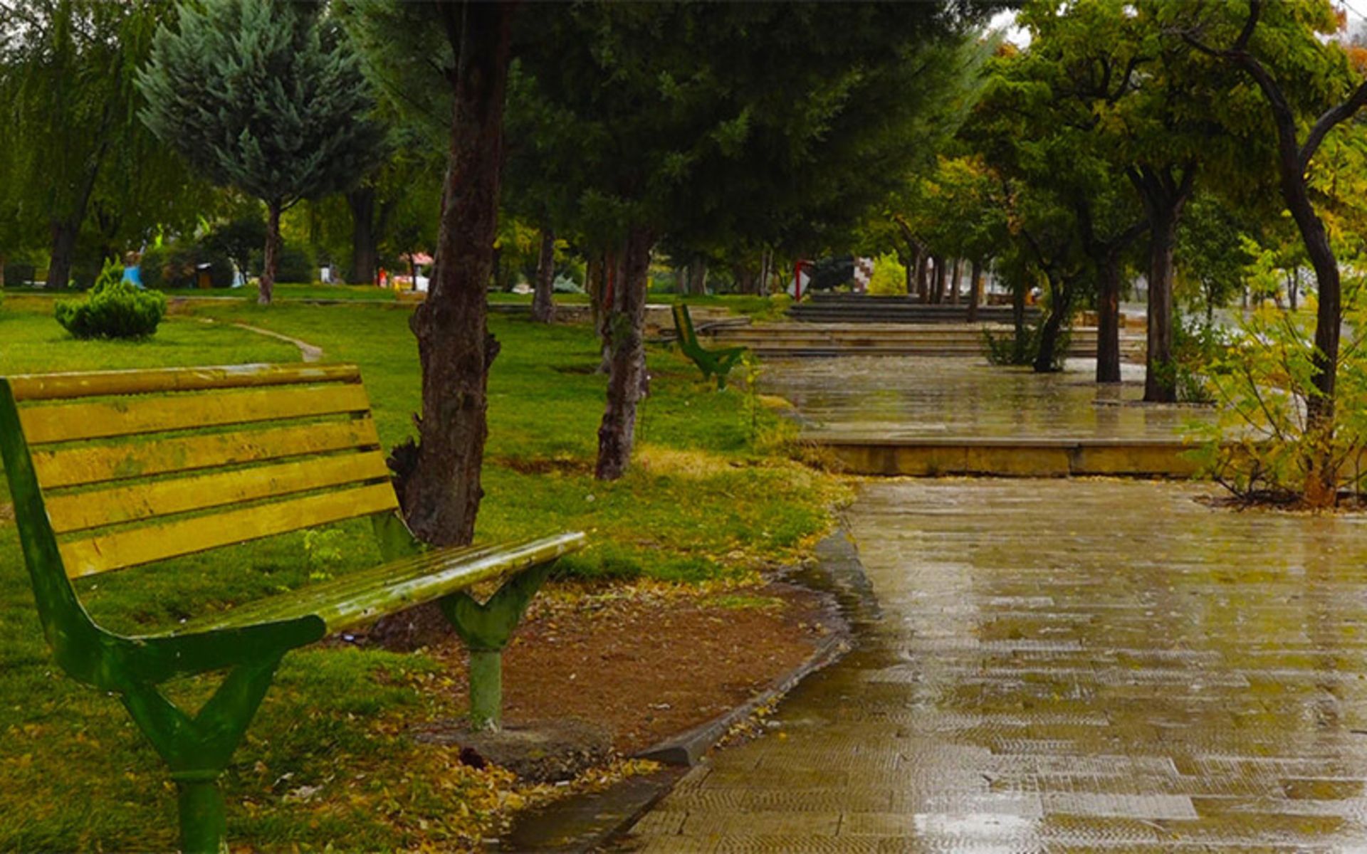 Yasuj Beach Park bench in the rain