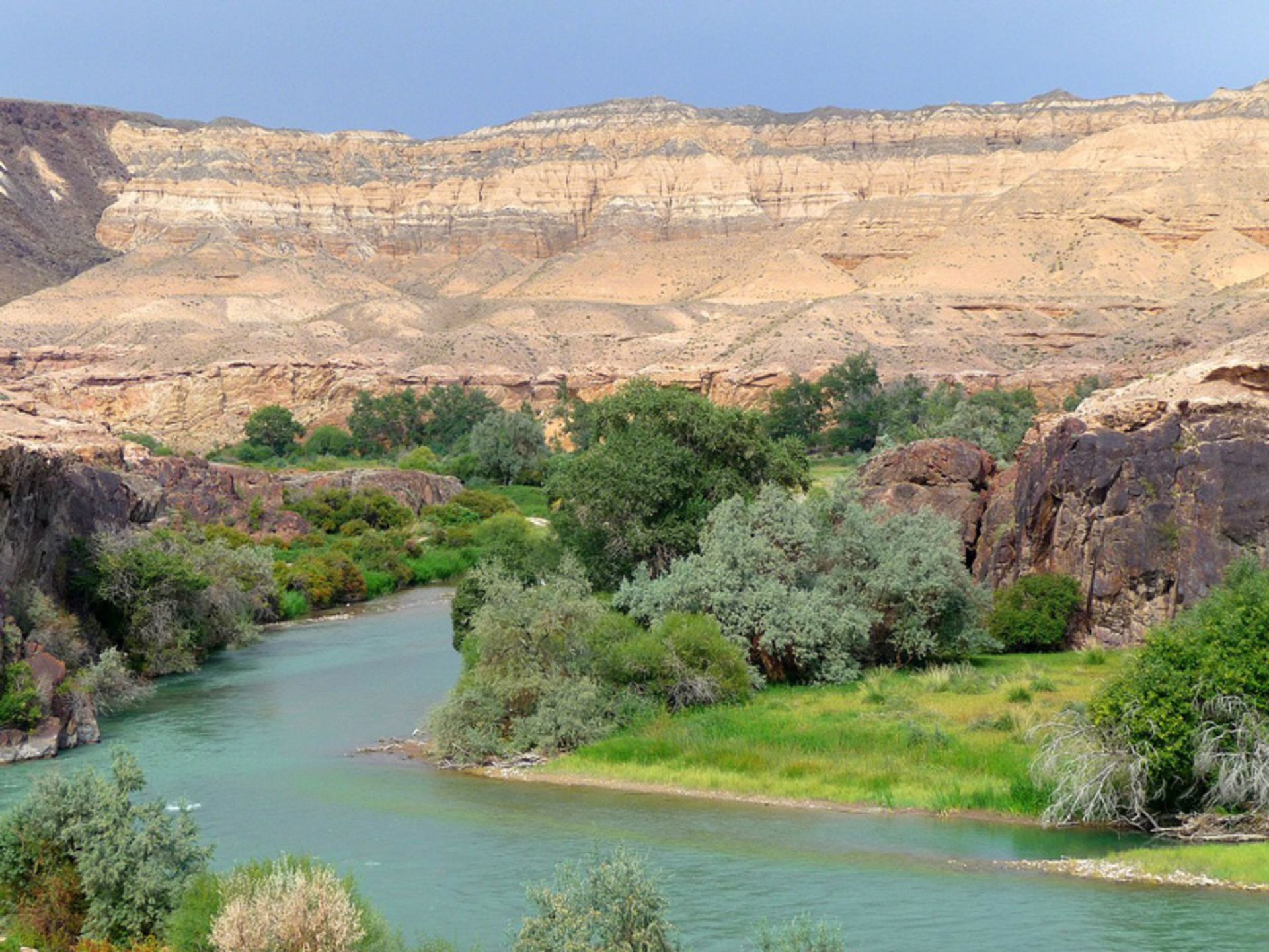 Sharin River Among the Forests of Kazakhstan's Sharrin National Park