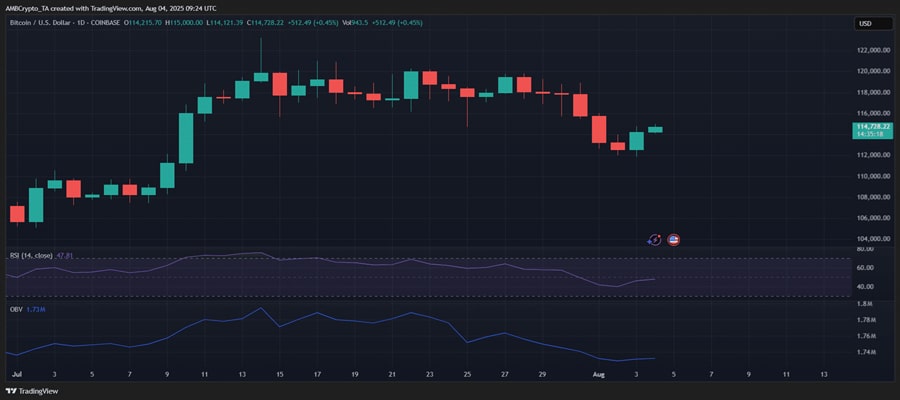 bitcoin -14-mln-in-the-coins-move-but-bulls-polo-bothered-