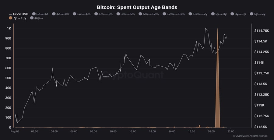 bitcoin -14-mln-in-the-coins-move-but-bulls-polo-bothered-