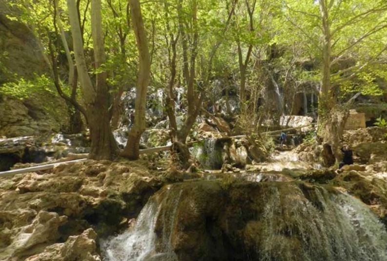 Diversity of vegetation and animal coverage in the lost paradise