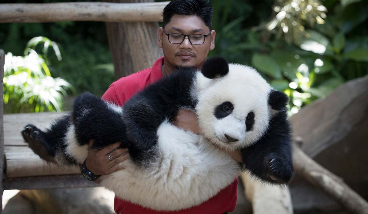 15 Interesting Truth About China