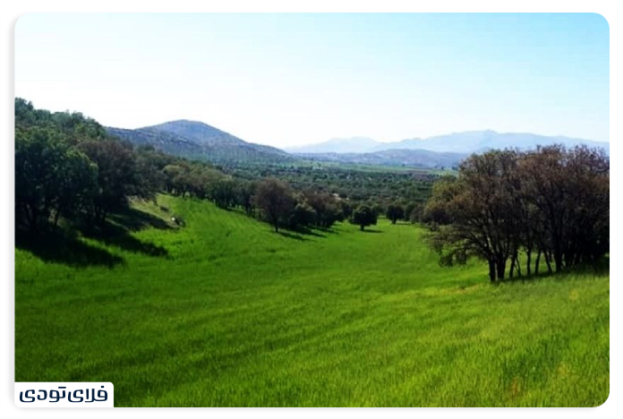 Recreational activities in the Bavan Strait