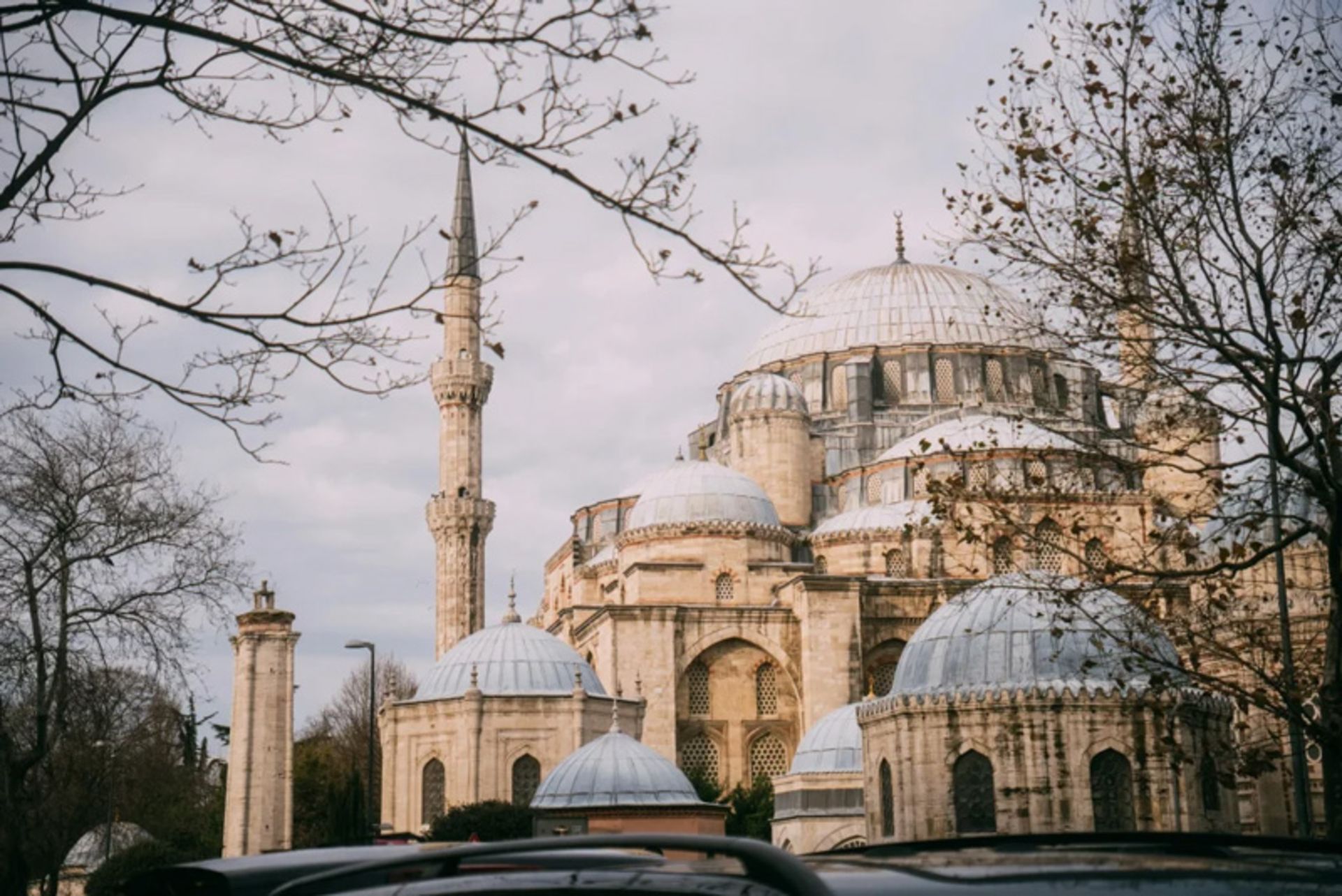 White domes and stone facade of Salimieh Mosque