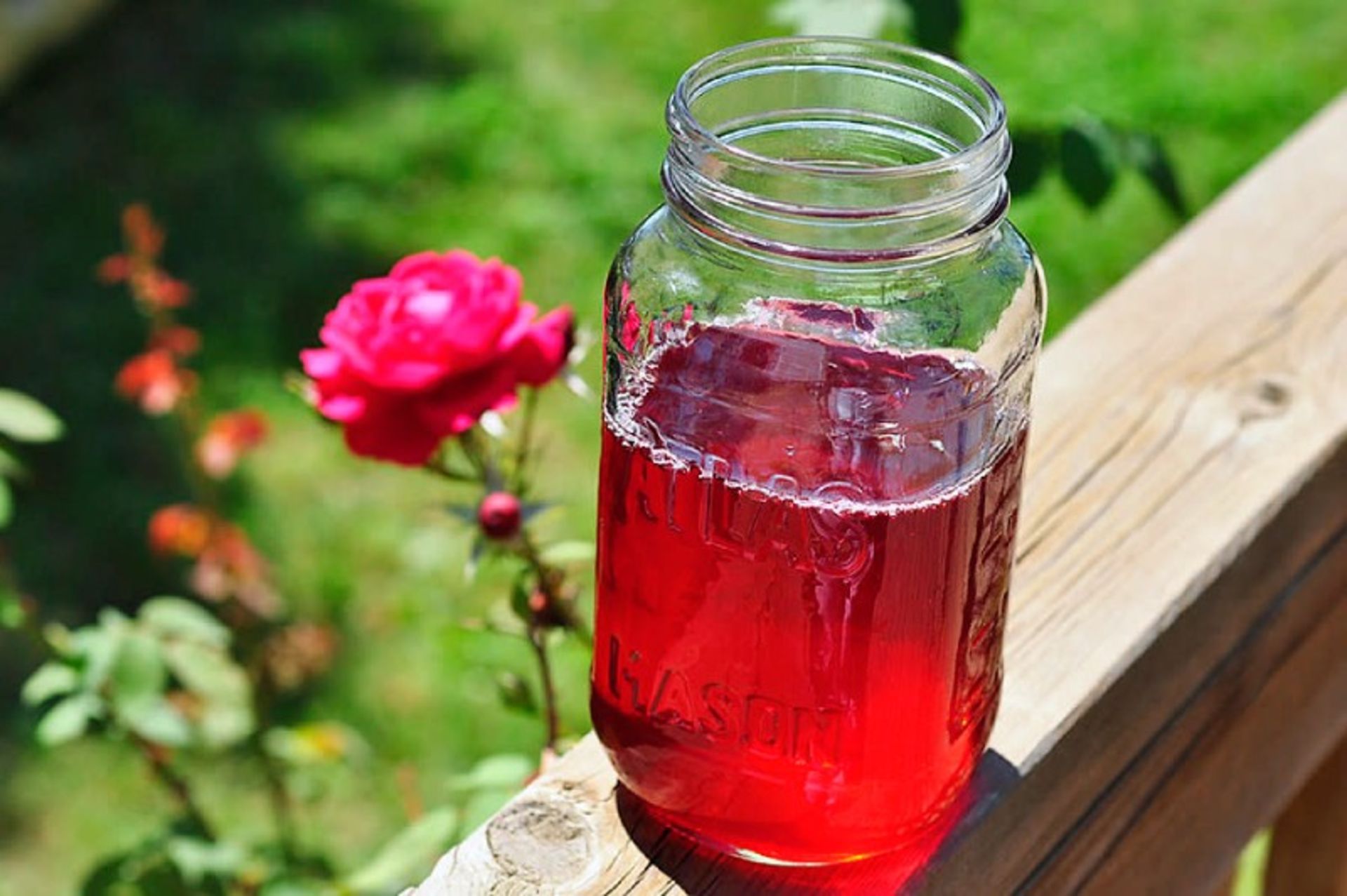 Mohammadi flower syrup and next to pink flower