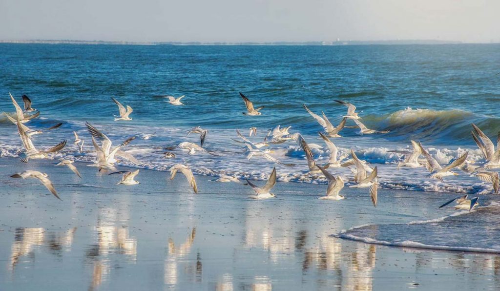 The best season of travel to Qeshm