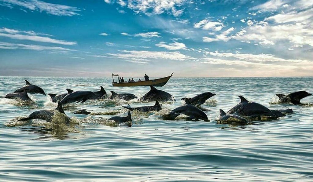 The best season of travel to Qeshm