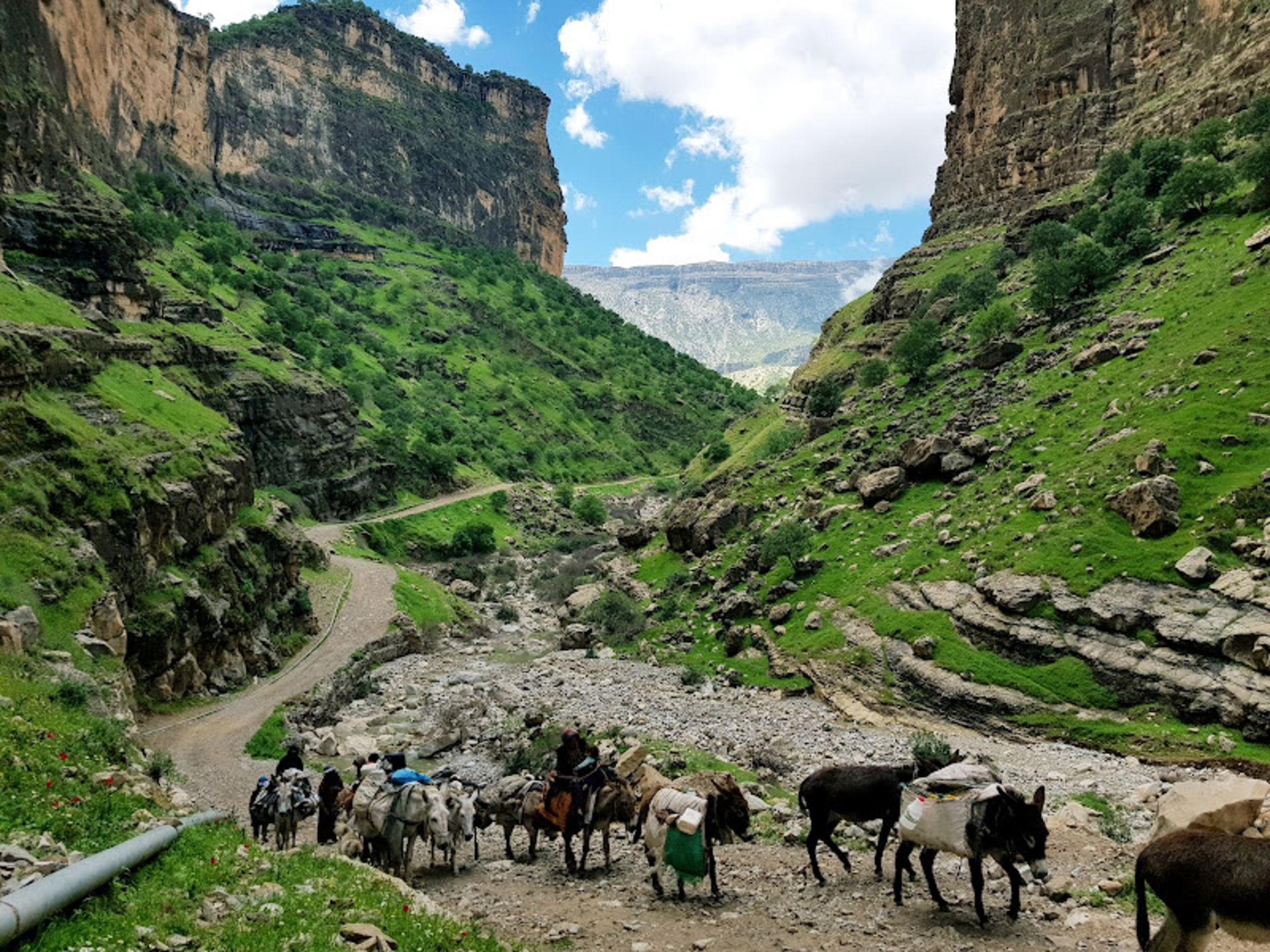 Crossing the donkey flock to the dirt road of the Zarangoush Valley