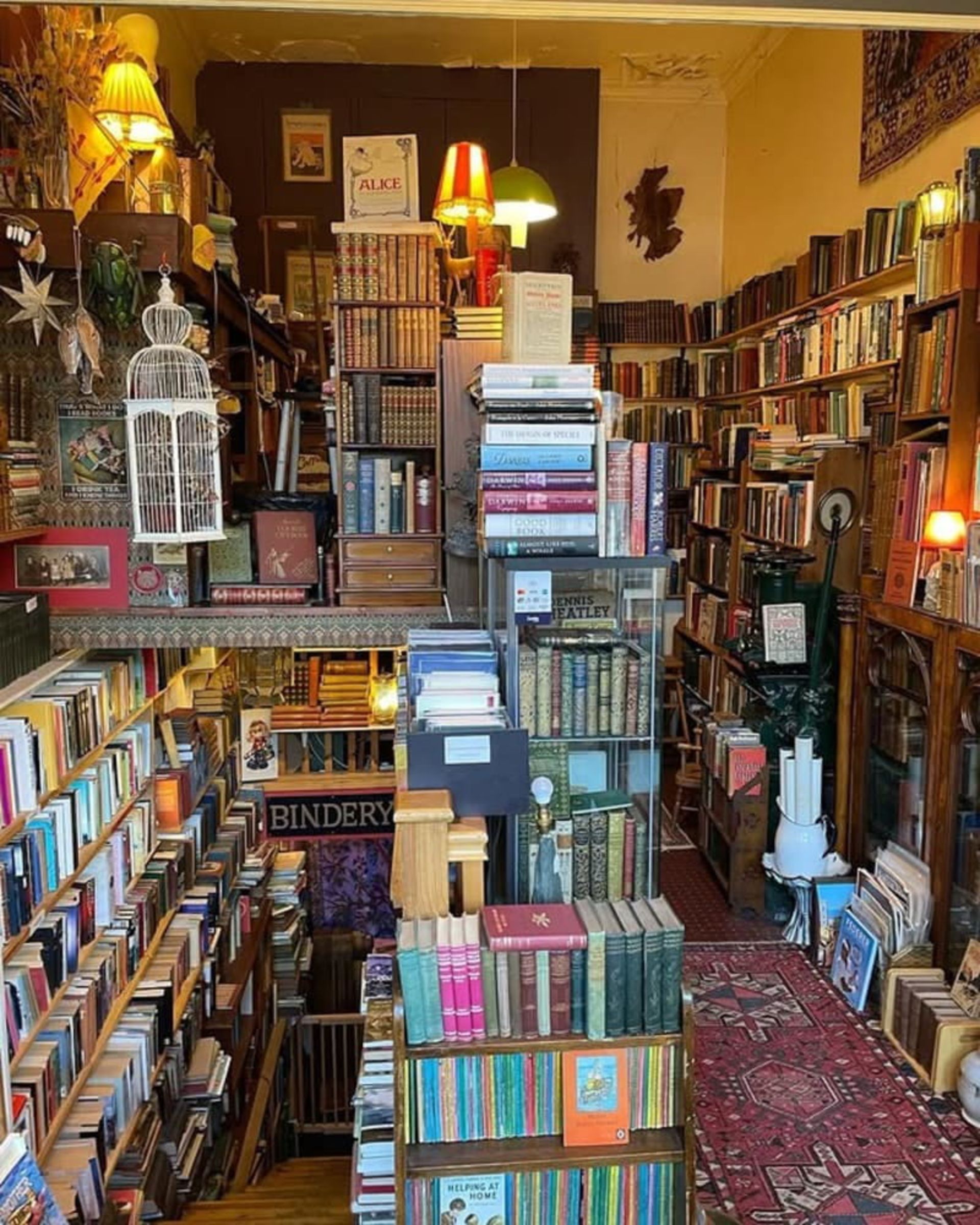 Classic interior and long shelves full of old books in Gentle Bookstore Bookstore, Britain