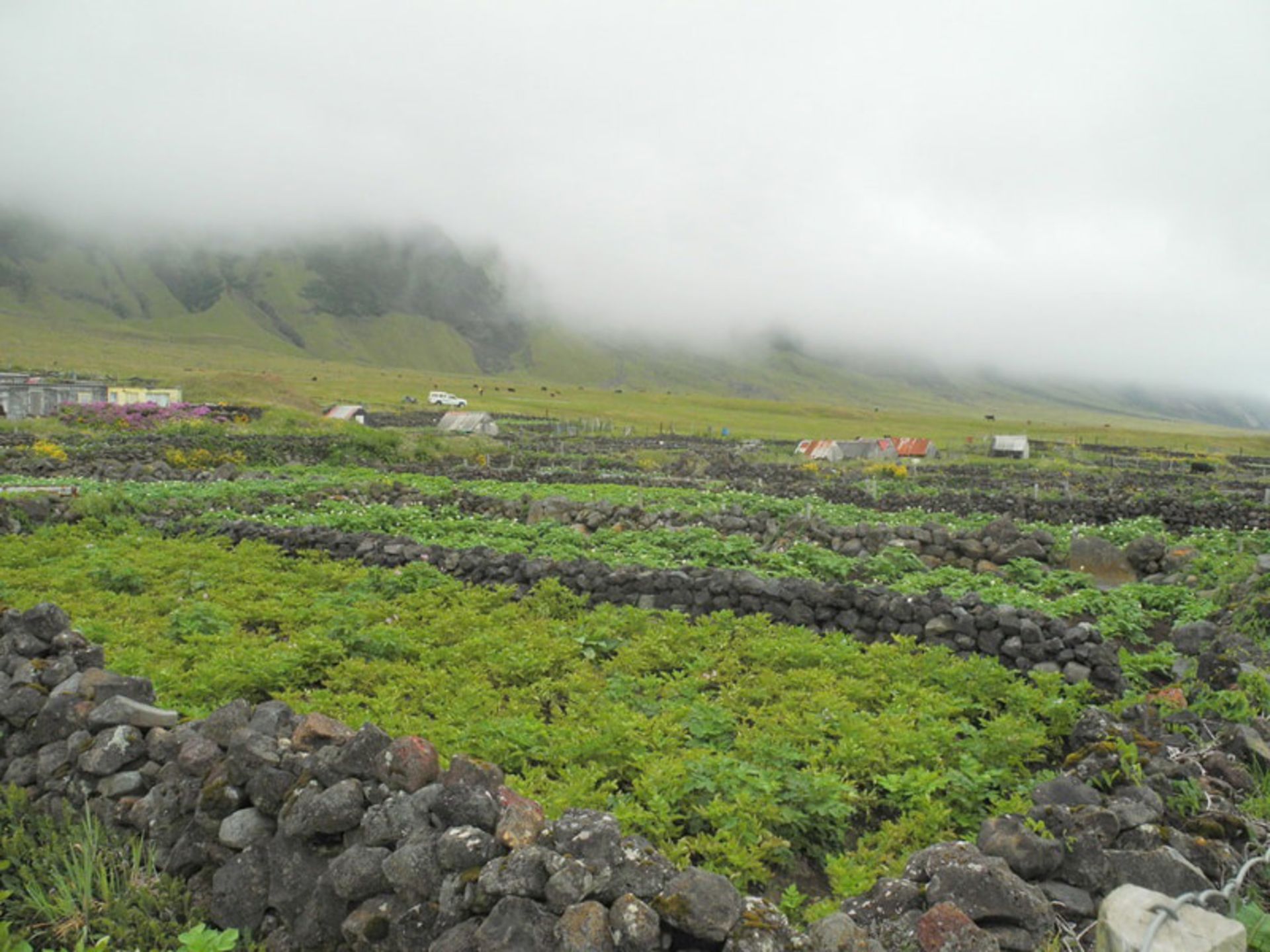 Stone walls made of volcanic rocks on Terryland Da Kona Island 