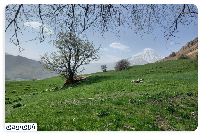 Why choose the Azo Plain?