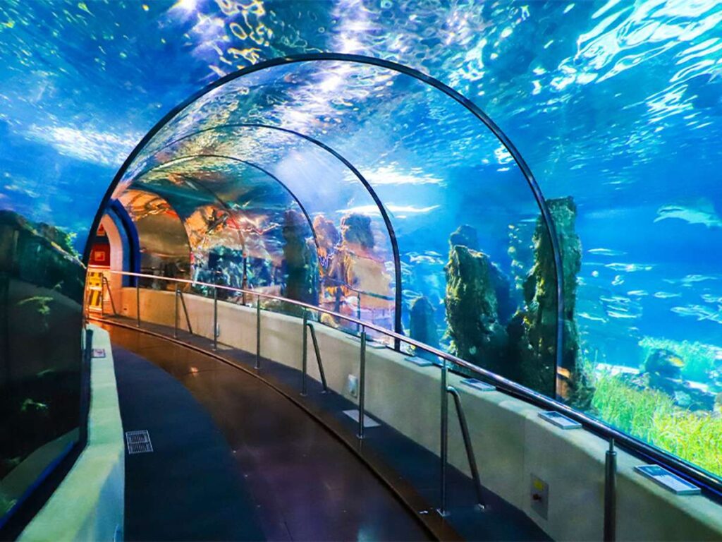 Kish Aquarium