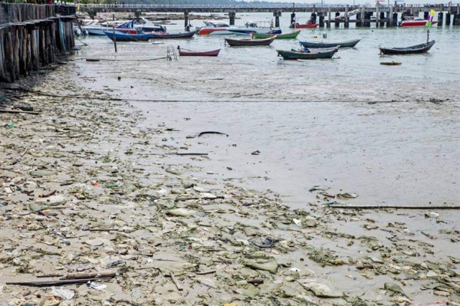 Garbage in the Halong Bay