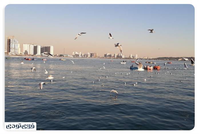 Tehran Lake | Introducing fun and entertainment