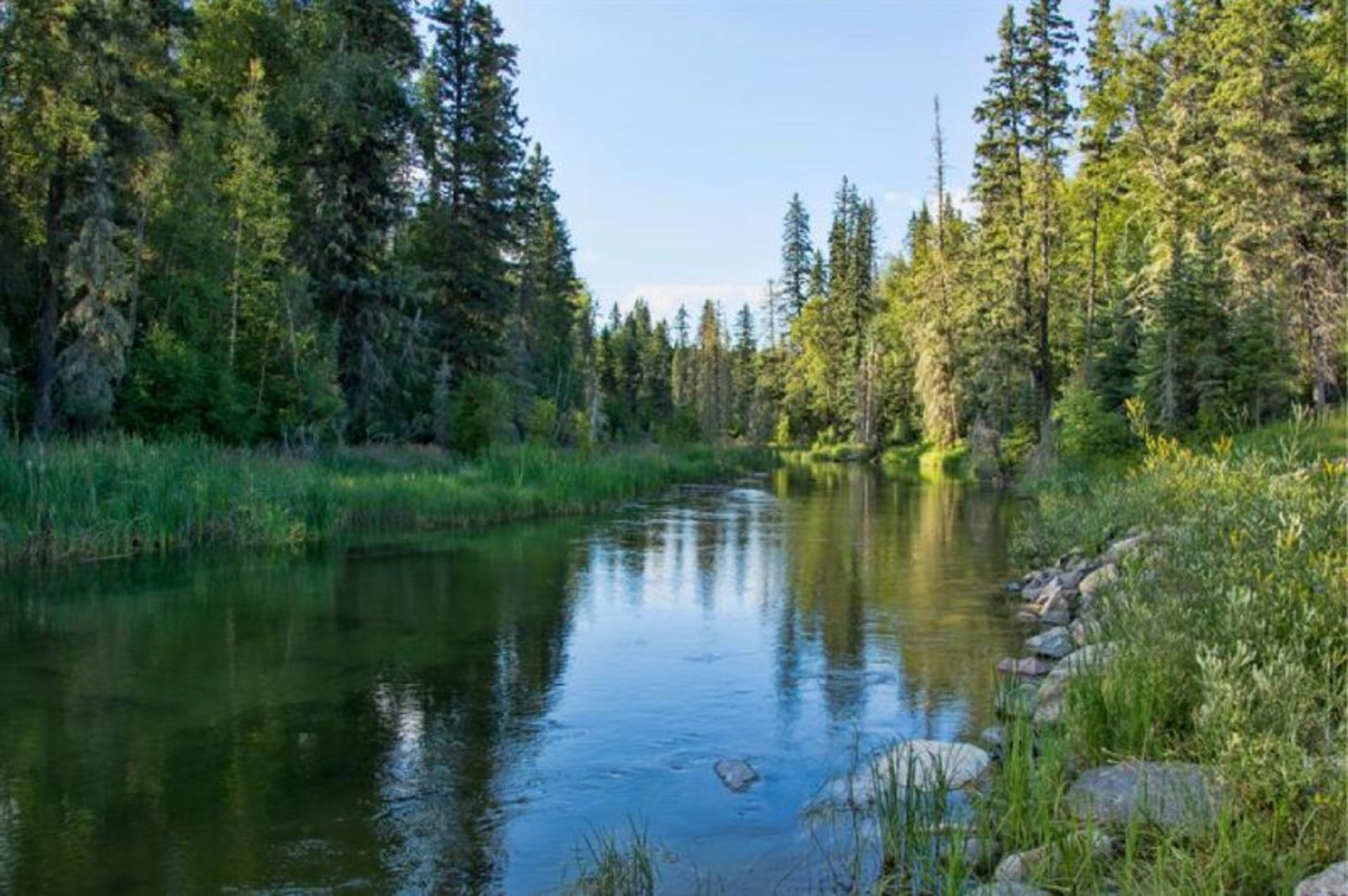 Reflection of trees and sky in Lake Vusoxio in Saskatchewan Province