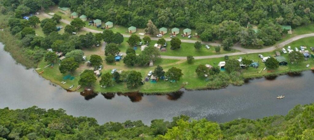 Take care of wildlife in Ruth Garden of South Africa