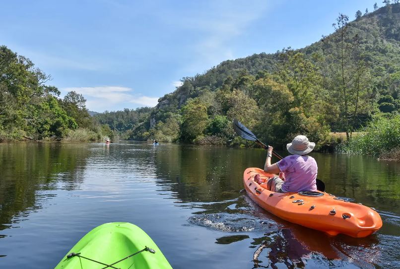 South African Ruth's Input Activities and Costs