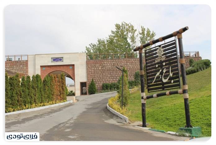 Butterfly Market Friday A world of rare and attractive goods