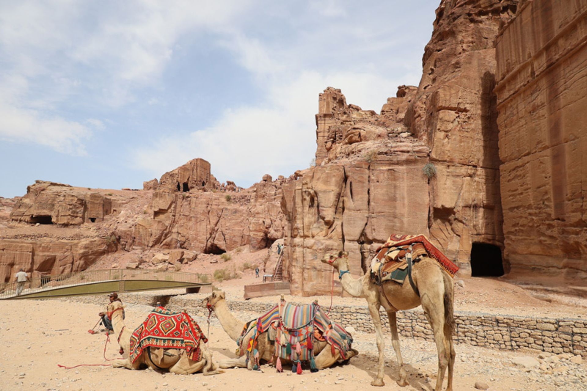 Camels in front of the ancient city of Petra