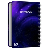 Homework 100 Master Rad Model Galaxy Model FIory 2066 Educational Design