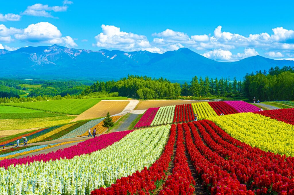 Hokkaido / Hokkaido of Japan's most beautiful islands
