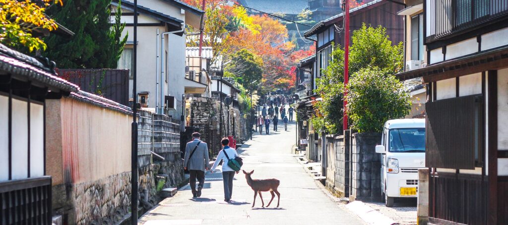 Miajima / miyajima of the most stunning Japanese islands