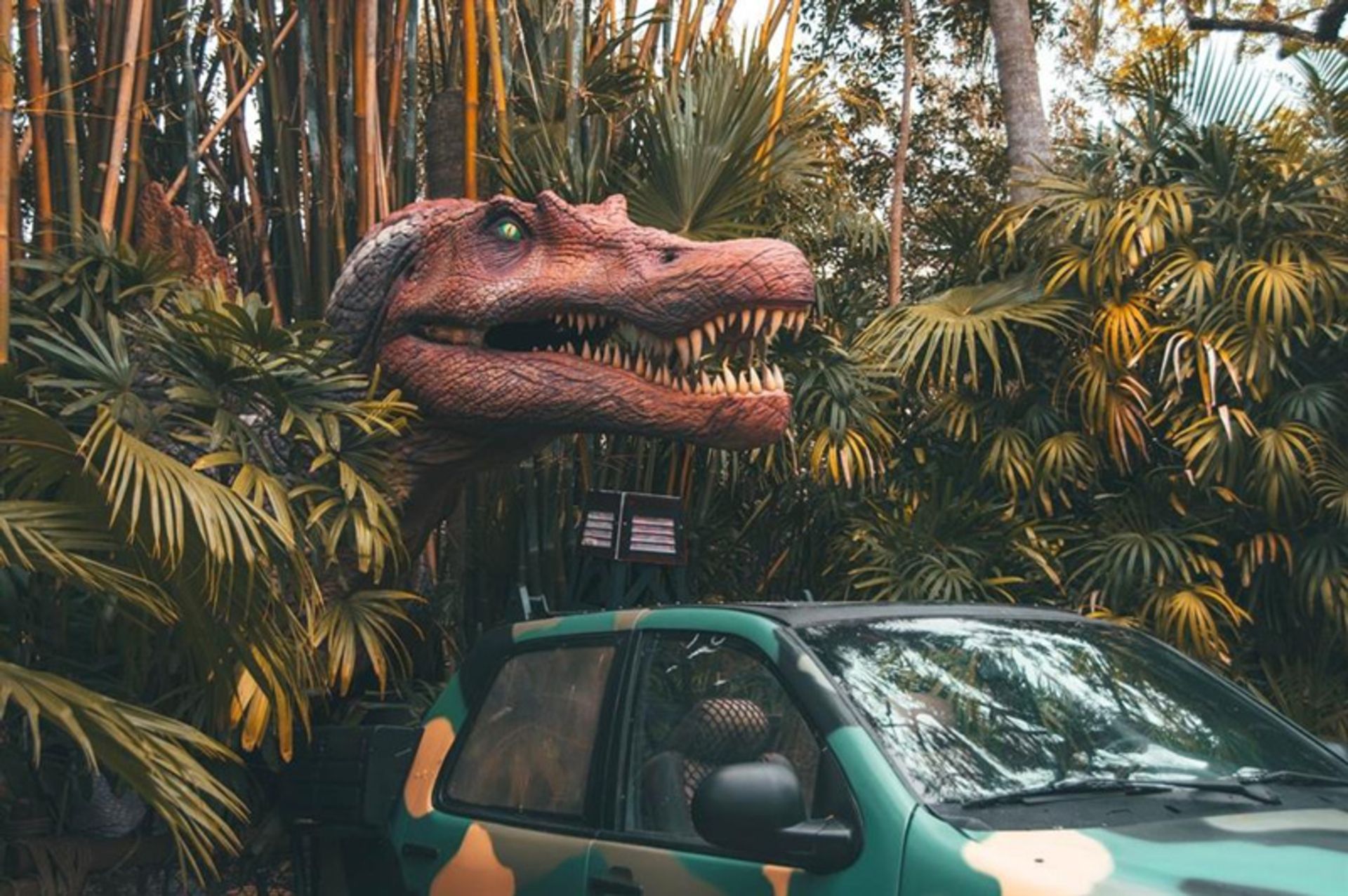 Aphrodite at the Orlando Universal Recreation Center