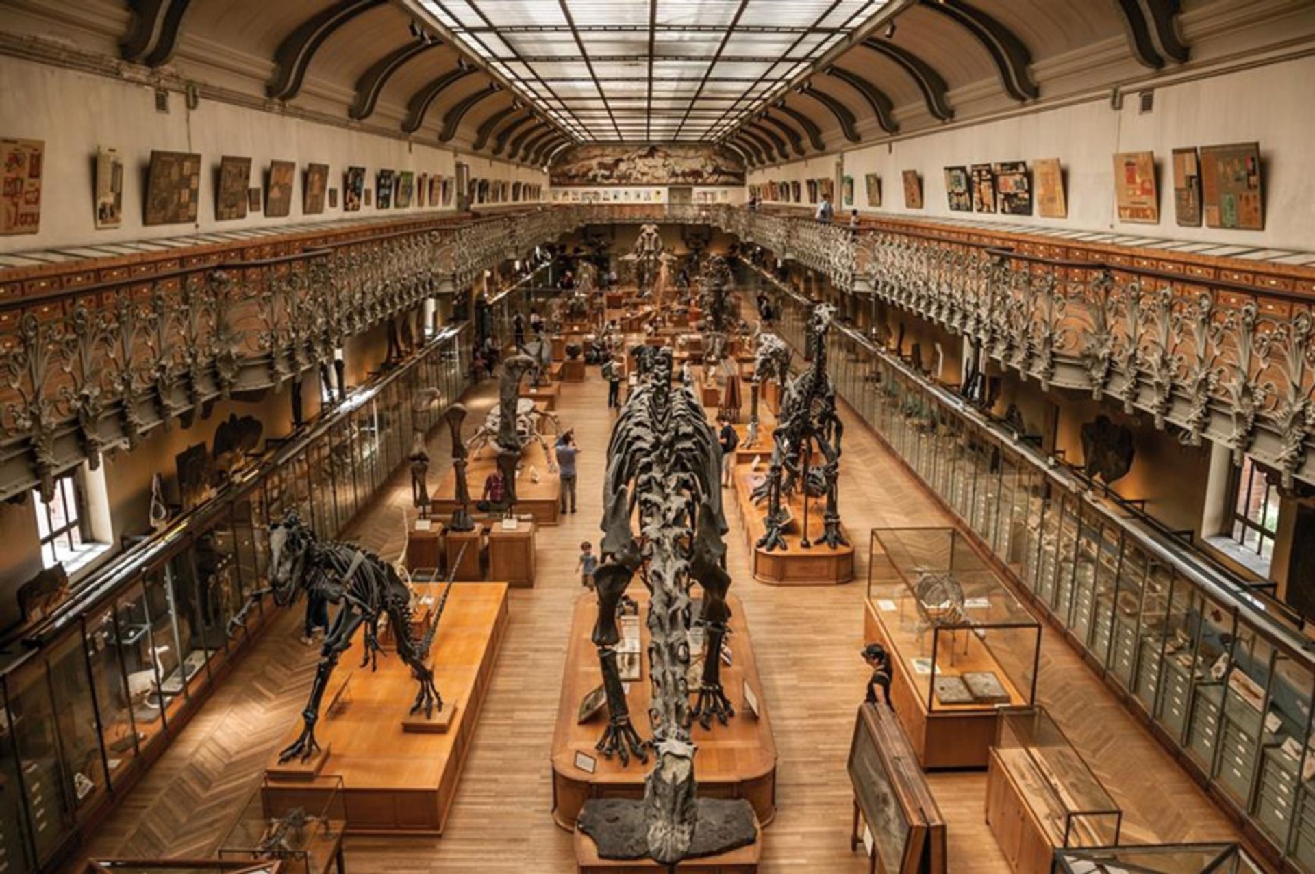 Paris Natural History Museum