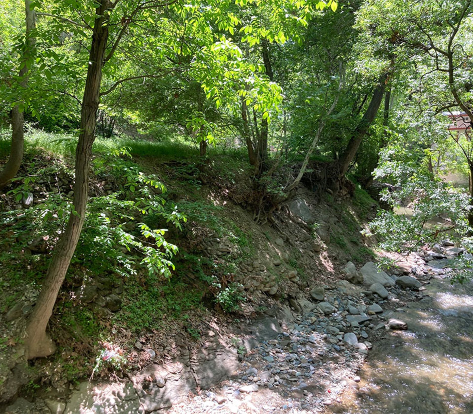 Barghan village lush nature