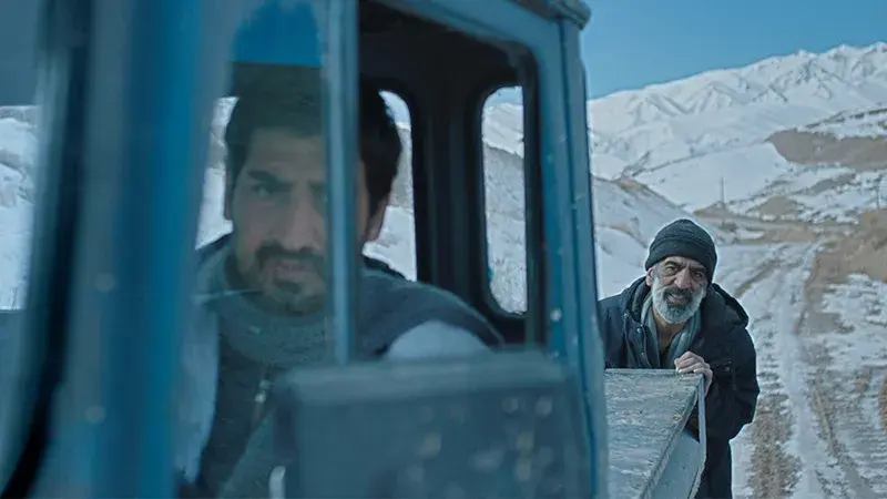 Cold movie criticism