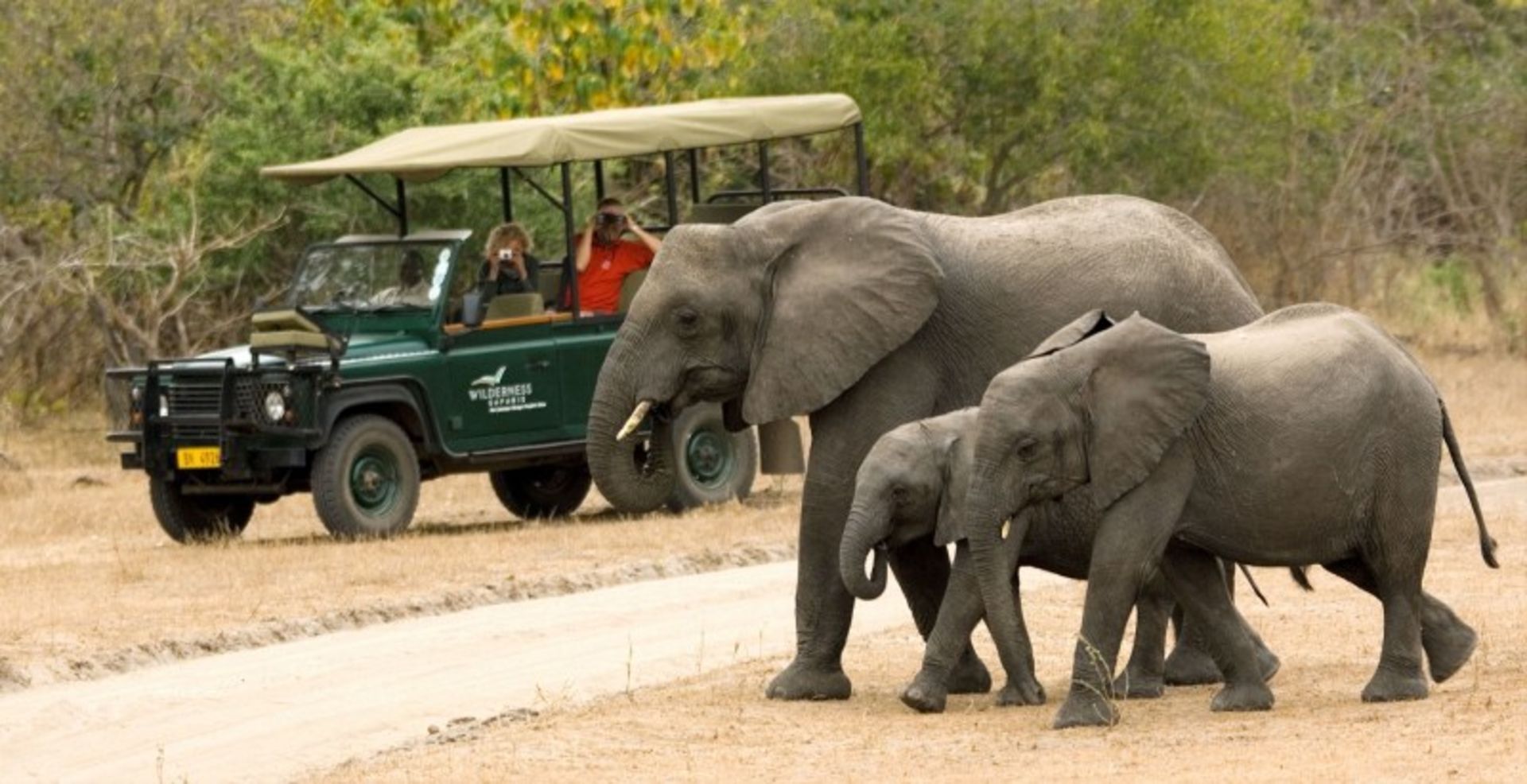 Tourists with cars watching animals and the nature of Malawi
