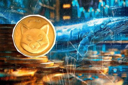 shiba-inu-sees-100-jump-in-whale-activity-in-just-2-days-