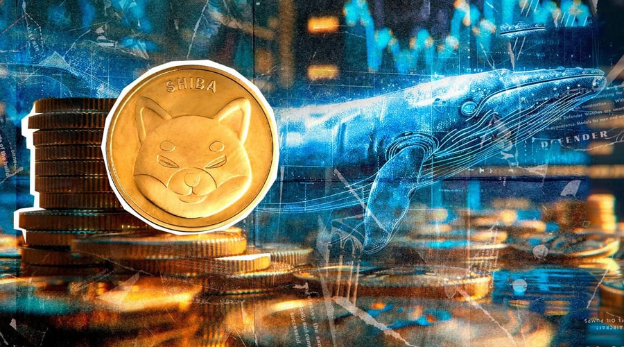 shiba-inu-sees-100-jump-in-whale-activity-in-just-2-days-