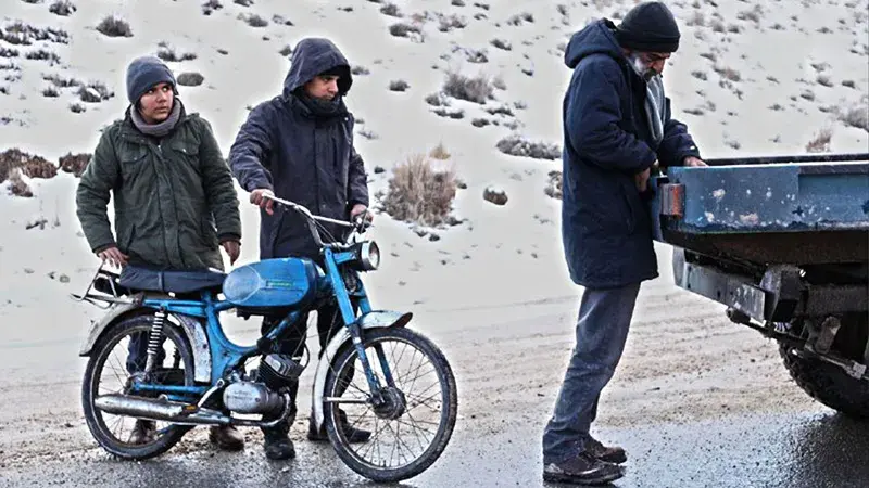 Cold movie criticism