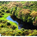 Where is Golestan National Park?