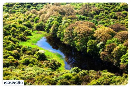 Where is Golestan National Park?