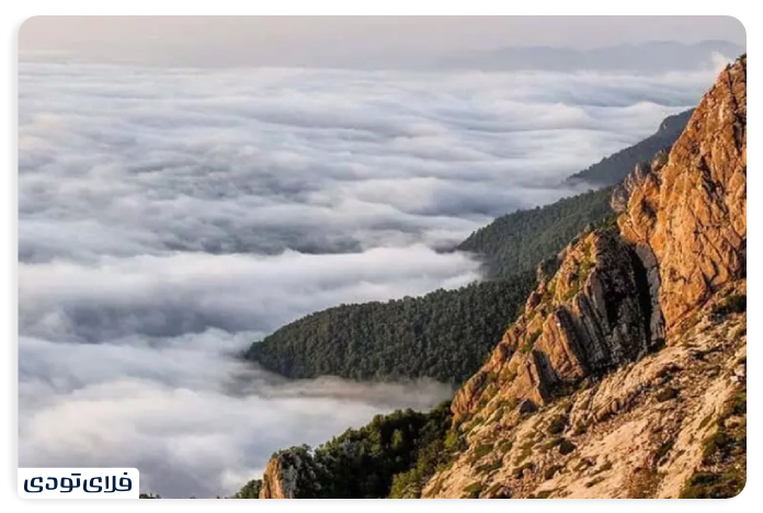 Where is Opert Village?