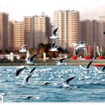 Lake Chitgar Tehran