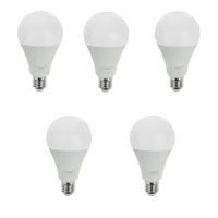 LED 20 watt lamp single -packed Bubble Model E27 Pack 5